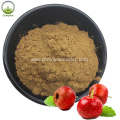 Supply Pure Natural Organic Dried Hawthorn Extract
